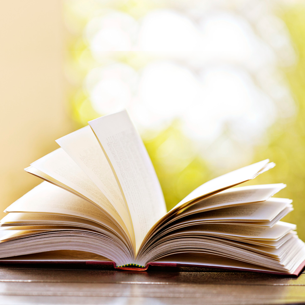 libro de pecador a pescador